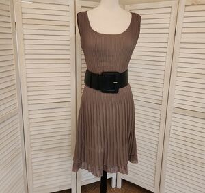 Veeca Taupe Pleated Dress Size S